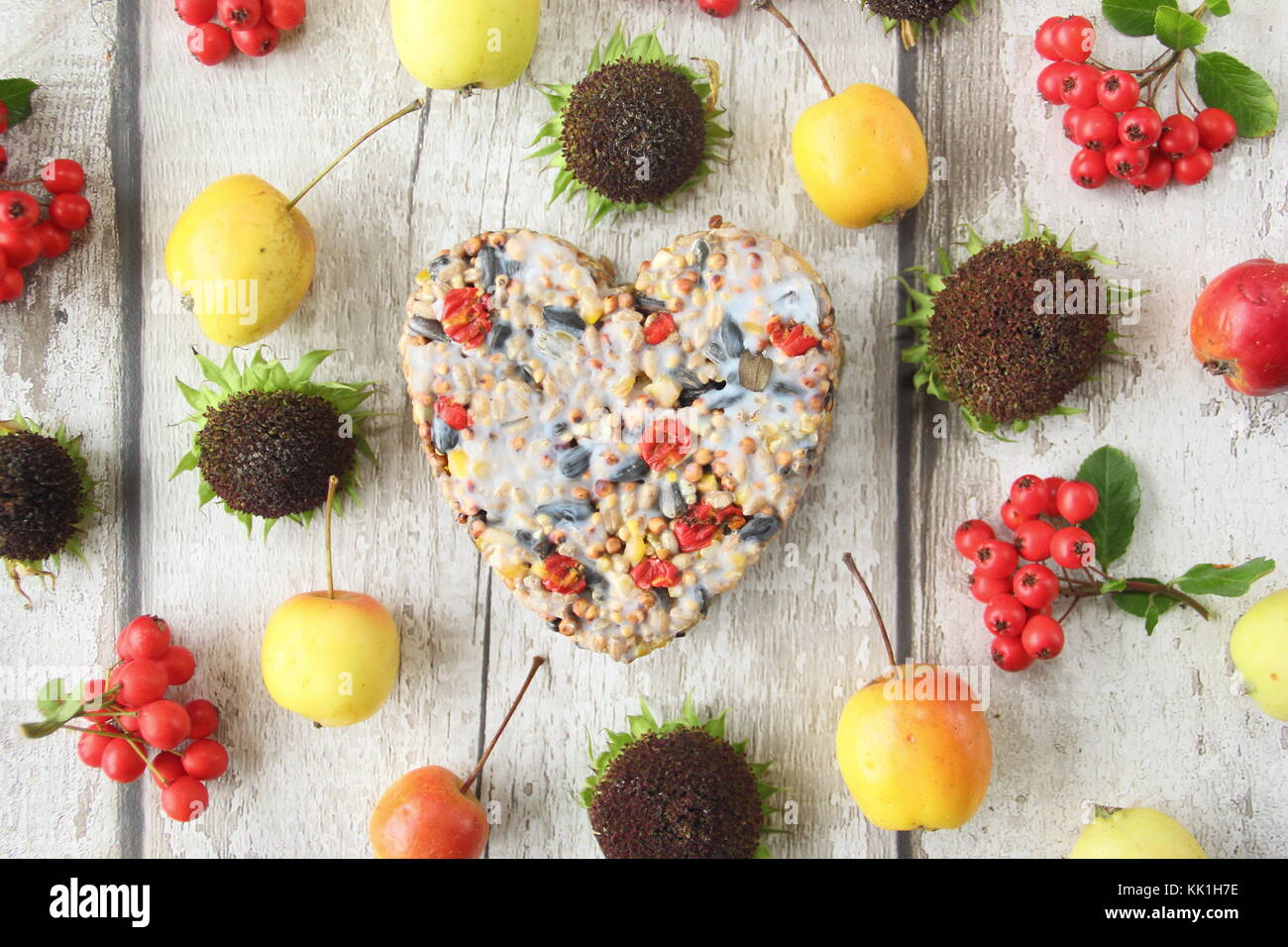 Herzförmige Bird Feeder mit wilden Beeren, Samen und geschmolzene Fett gemacht, in einem Cookie Cutter geformt, mit Beeren, Holzäpfel und Sonnenblumen eingerichtet Stockfoto