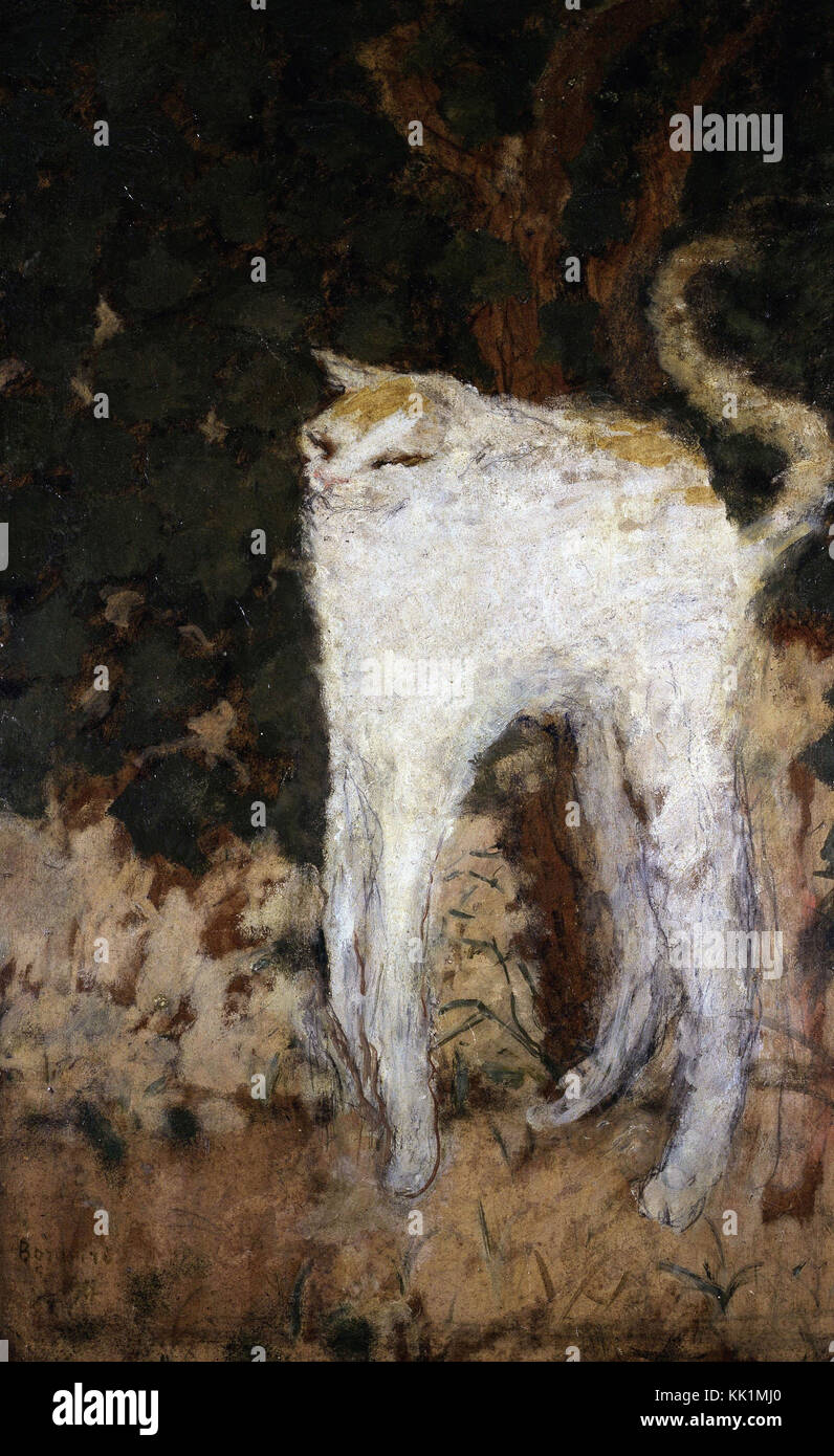Pierre Bonnard - Die weiße Katze - 1894 Stockfoto