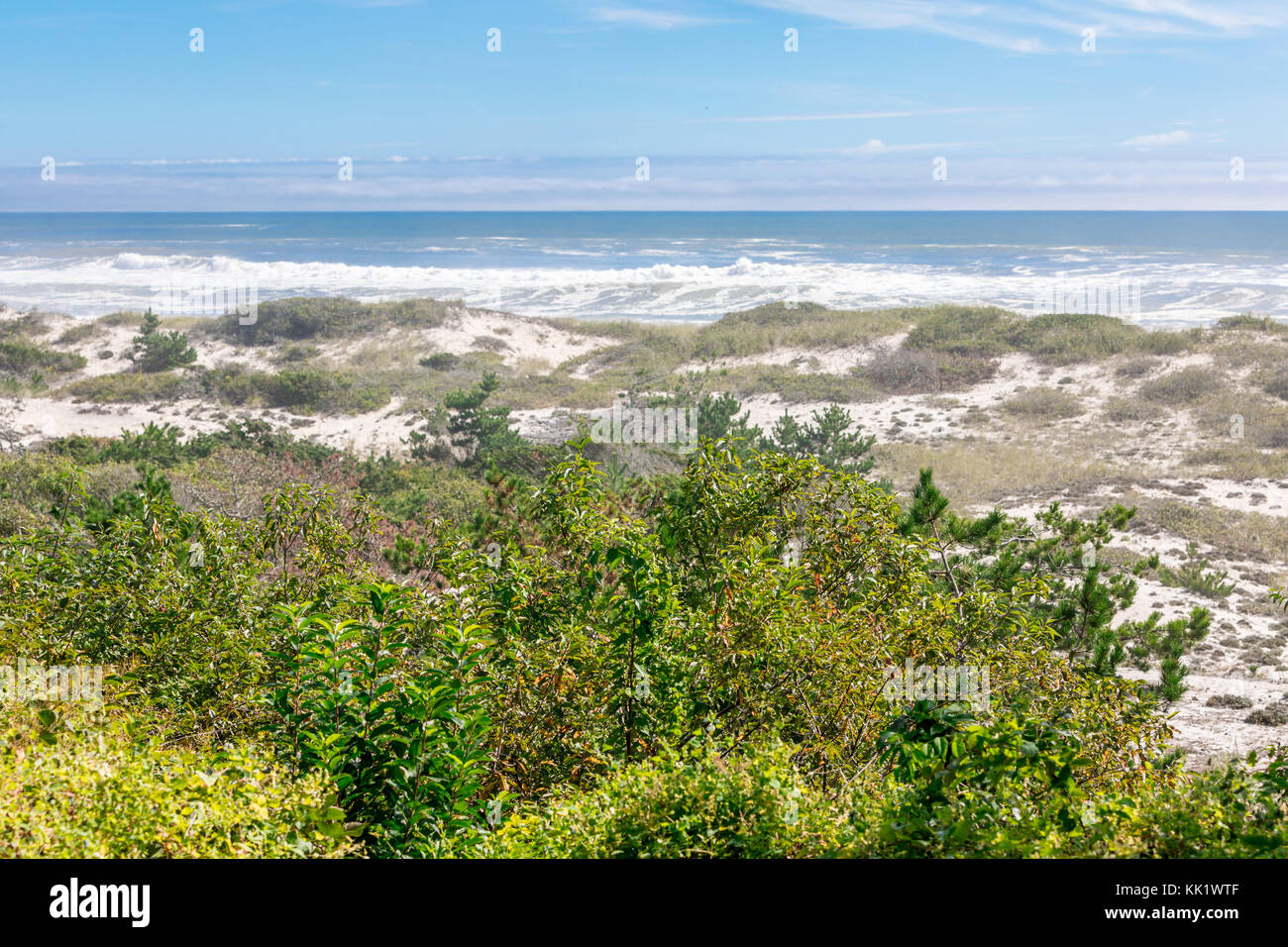 Dünen im East Hampton mit Atlantik im Hintergrund, East Hampton, New York Stockfoto