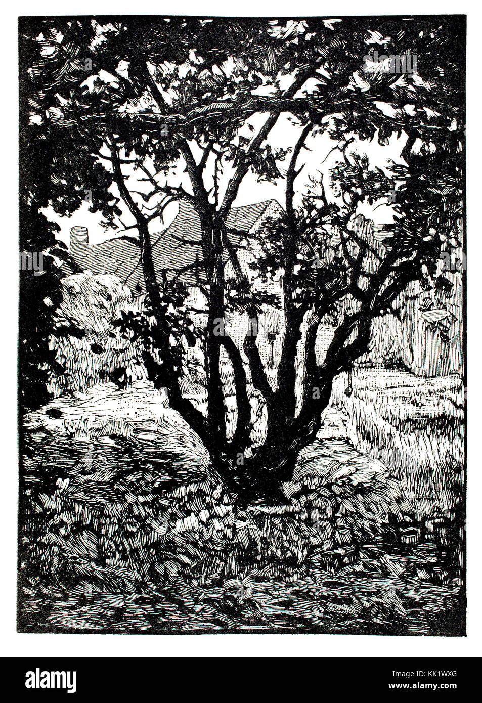 Bäume im Hof 1920 Holzschnitt Abbildung von dem französischen Künstler, Kupferstecher und Illustrator Paul Baudier Stockfoto