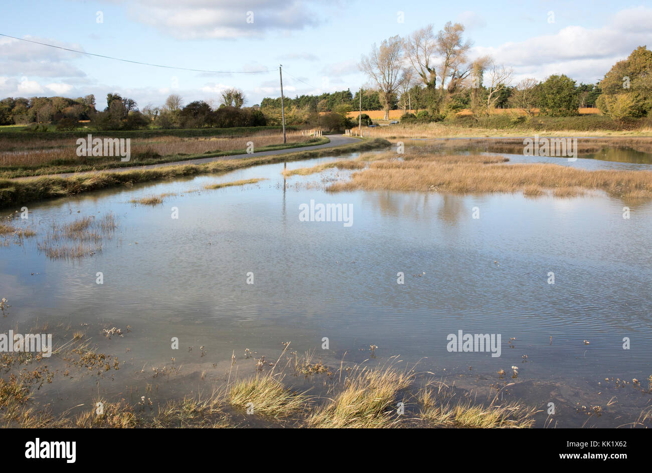 Saltmarsh Lebensraum bei Flut überschwemmt, in der Nähe der Shingle Street, Suffolk, England, Großbritannien Stockfoto