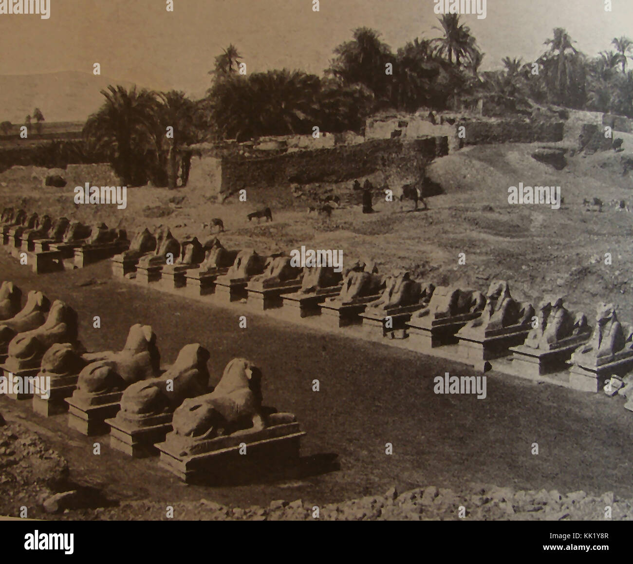 Ägypten archäologische Ausgrabungen in der Zeit um 1900. Sphinxallee, die von den Tempel von Luxor zu den Tempeln von Karnak Stockfoto