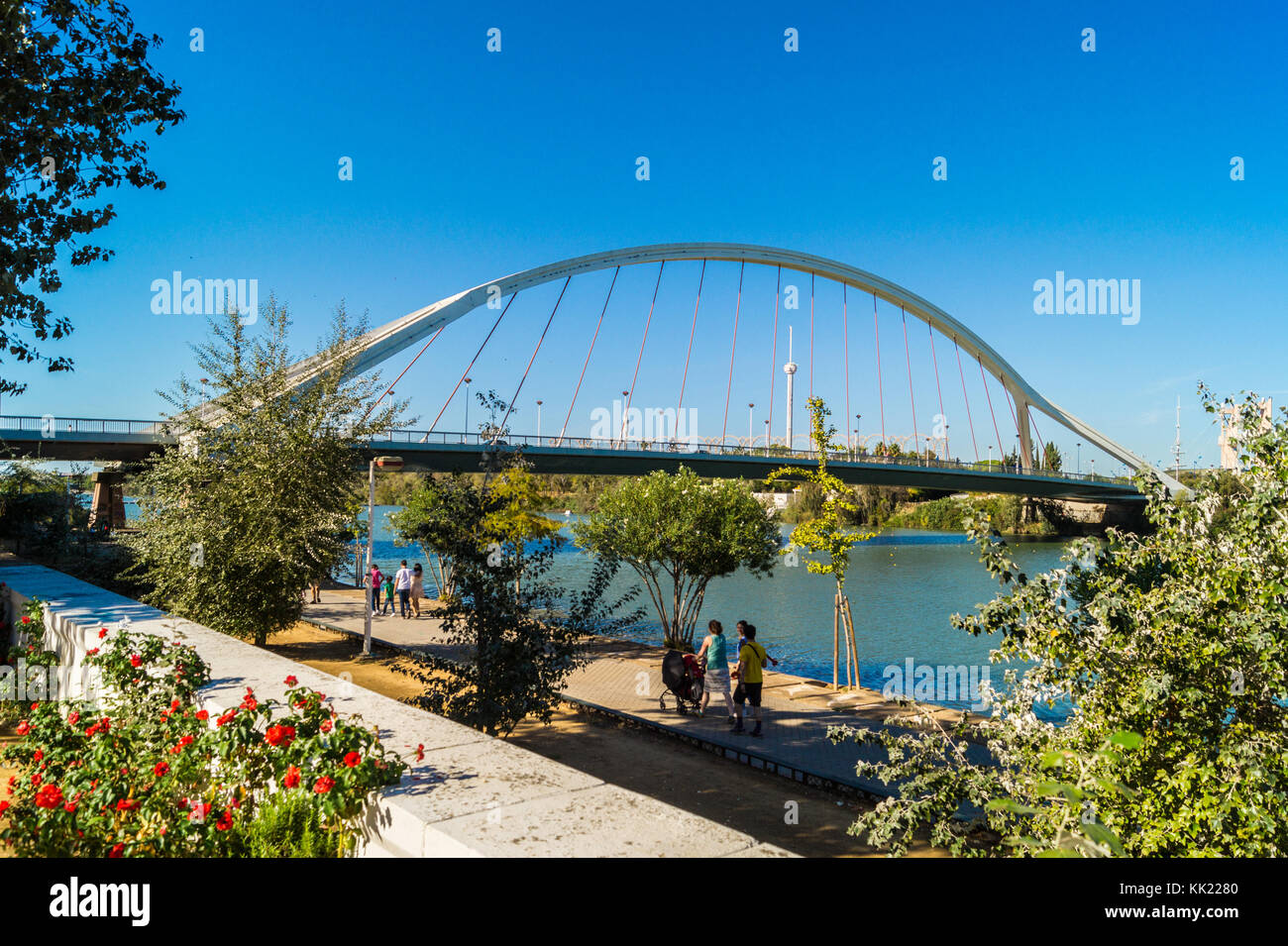 Punte de La Barqueta, offiziell Mapfre Brücke, 1992, von Juan José Arenas de Pablo & Marcos Jesús Pantaleón Prieto, Sevilla, Andalusien, Spanien Stockfoto