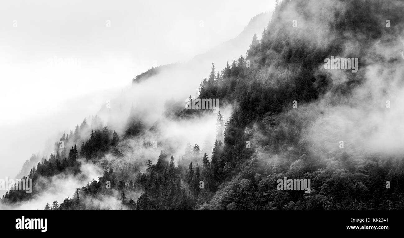 Berg Nebel Stockfoto