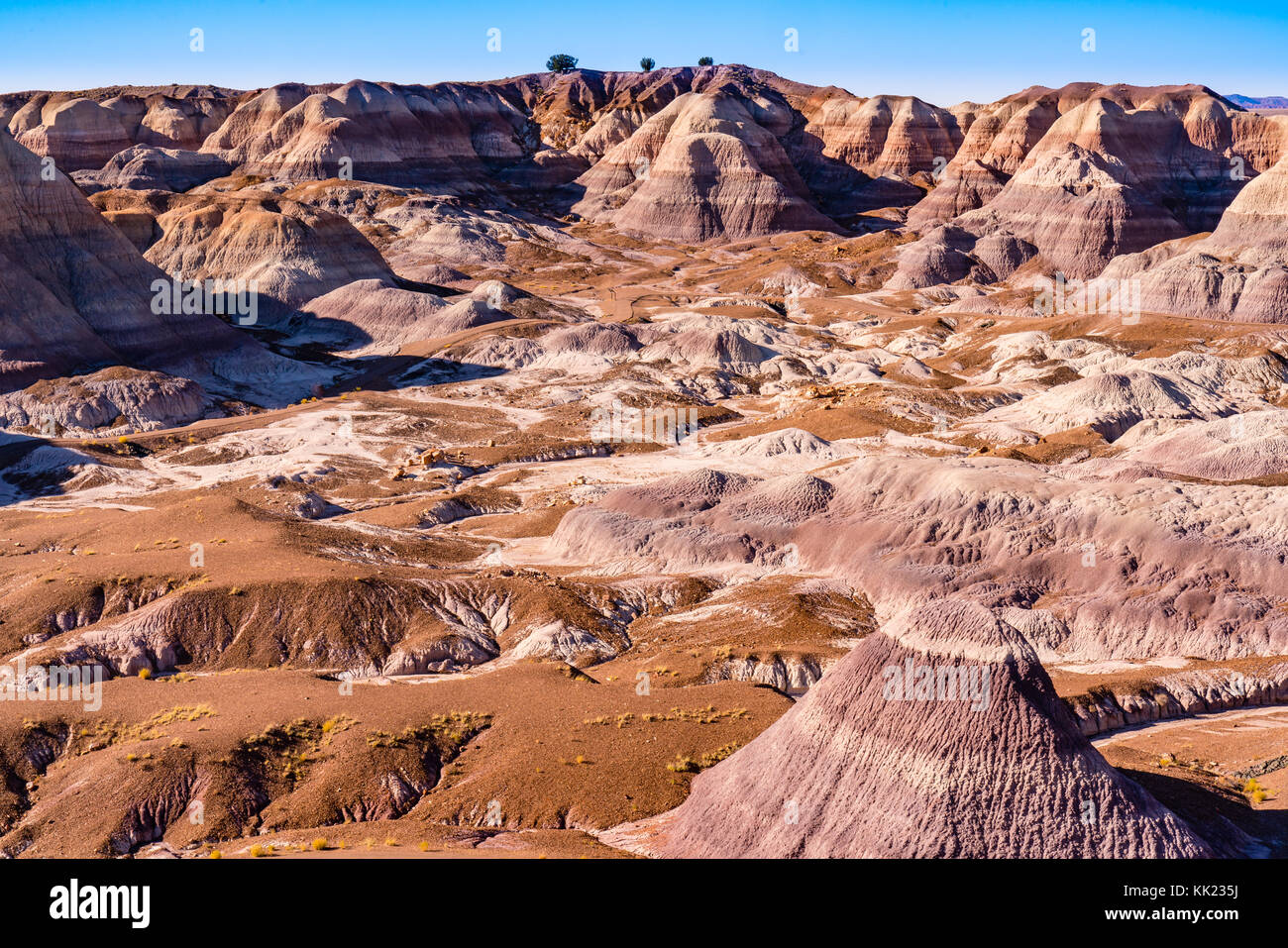 Painted Desert Hills Der Petrified Forest National Park in Arizona Stockfoto