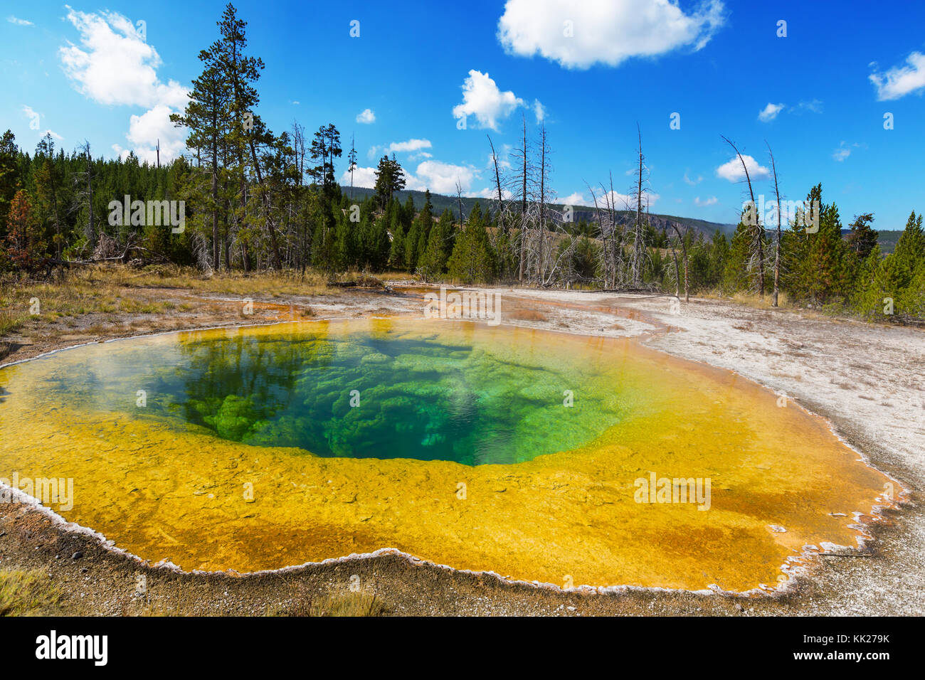 Bunte Morning Glory Pool - berühmte heißer Frühling in den Yellowstone National Park, Wyoming, USA Stockfoto