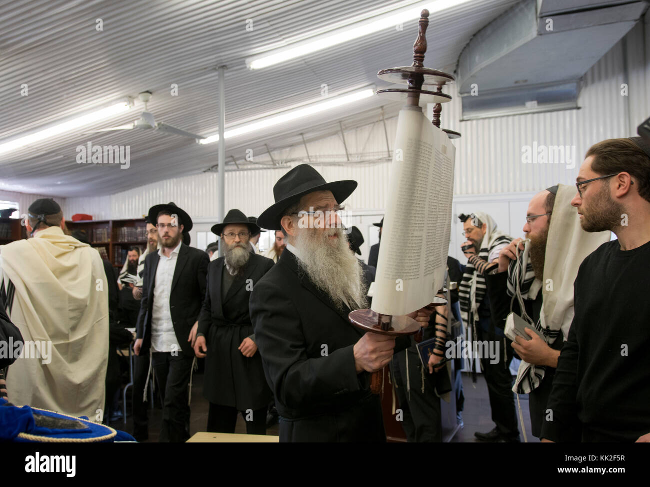 Eine orthodoxe jüdische Rabbiner hebt ein Tora und zeigt es an die Gemeinde in der ohel in Cambria Heights, Queens, New York City. Stockfoto