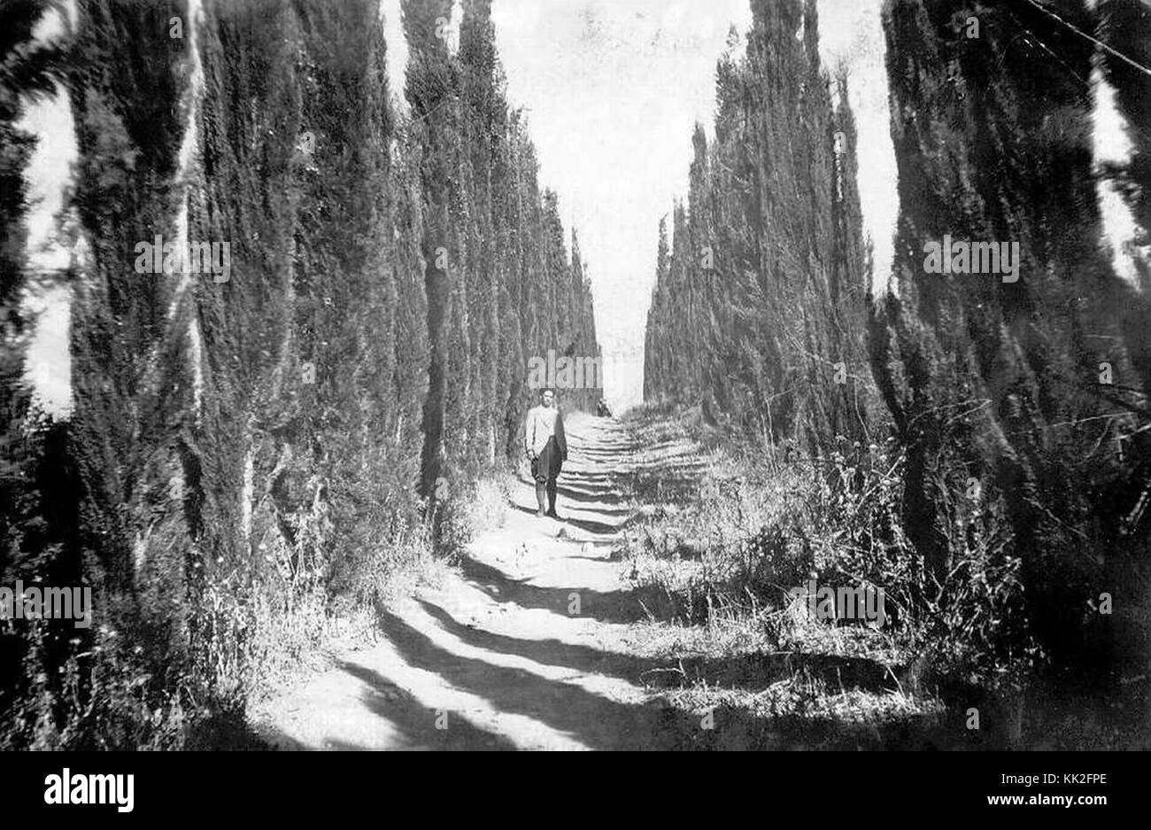 Dieses Bild bezieht sich auf Merhavia, eine 1922 gegründete Siedlung, die eine Rolle bei der Gründung des modernen Israel spielte. Die Fotografie gibt einen visuellen Überblick über die Anfänge der Siedlung und ihre Entwicklung im frühen 20. Jahrhundert und erfasst den landwirtschaftlichen und kommunalen Lebensstil der damaligen Zeit. Stockfoto