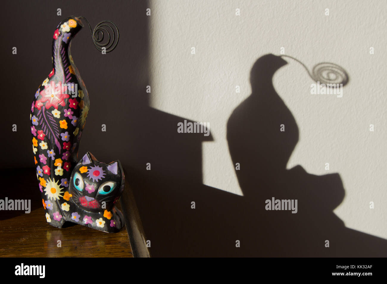 Die Indonesische Katze und sein Schatten Stockfoto