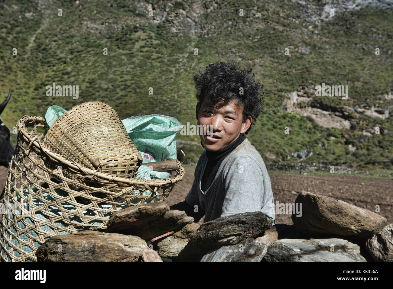 Junge Weizen Landwirt in der tsum Valley, Gorkha Bezirks, Nepal Stockfoto