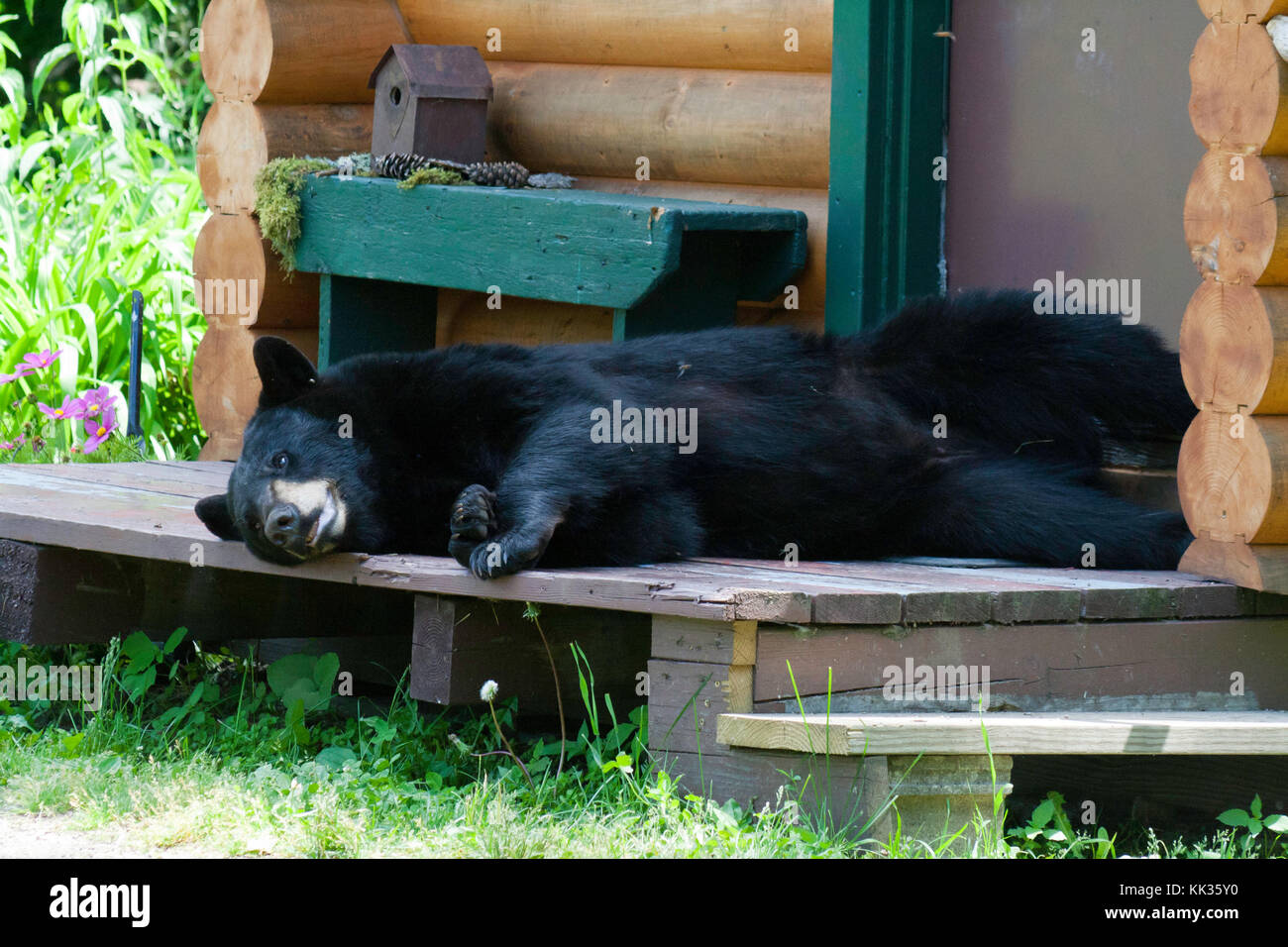 Sleeping Cabin Stockfotos & Sleeping Cabin Bilder - Alamy