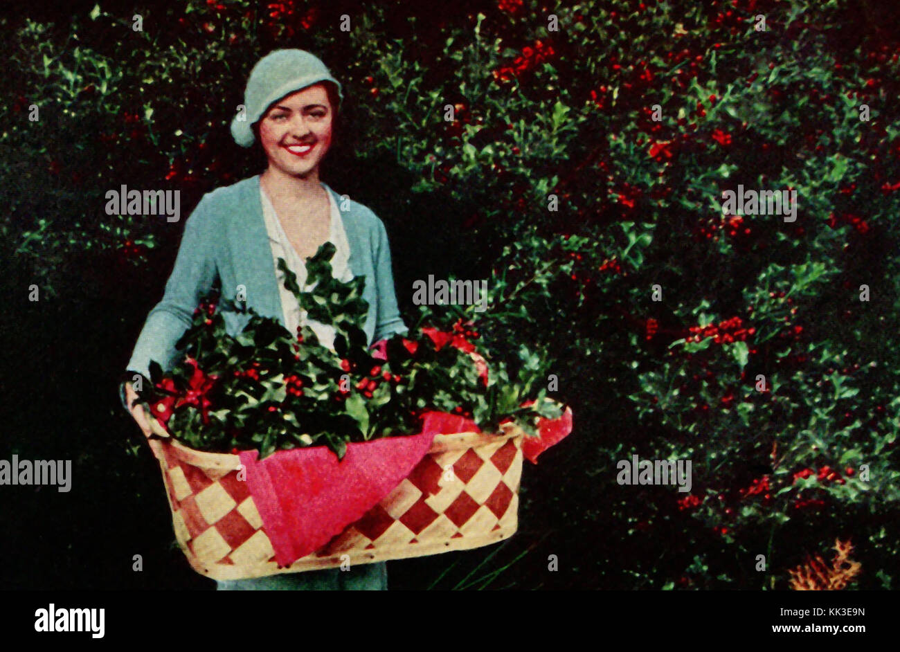 1937 - Holly wachsen für das Weihnachtsgeschäft in Gig Harbor Baumschulen USA, eine Vintage Farbe Foto Stockfoto