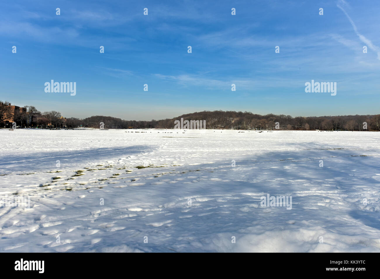 Van Cortlandt Park in der Grafschaft von der Bronx, New York im Winter. Stockfoto