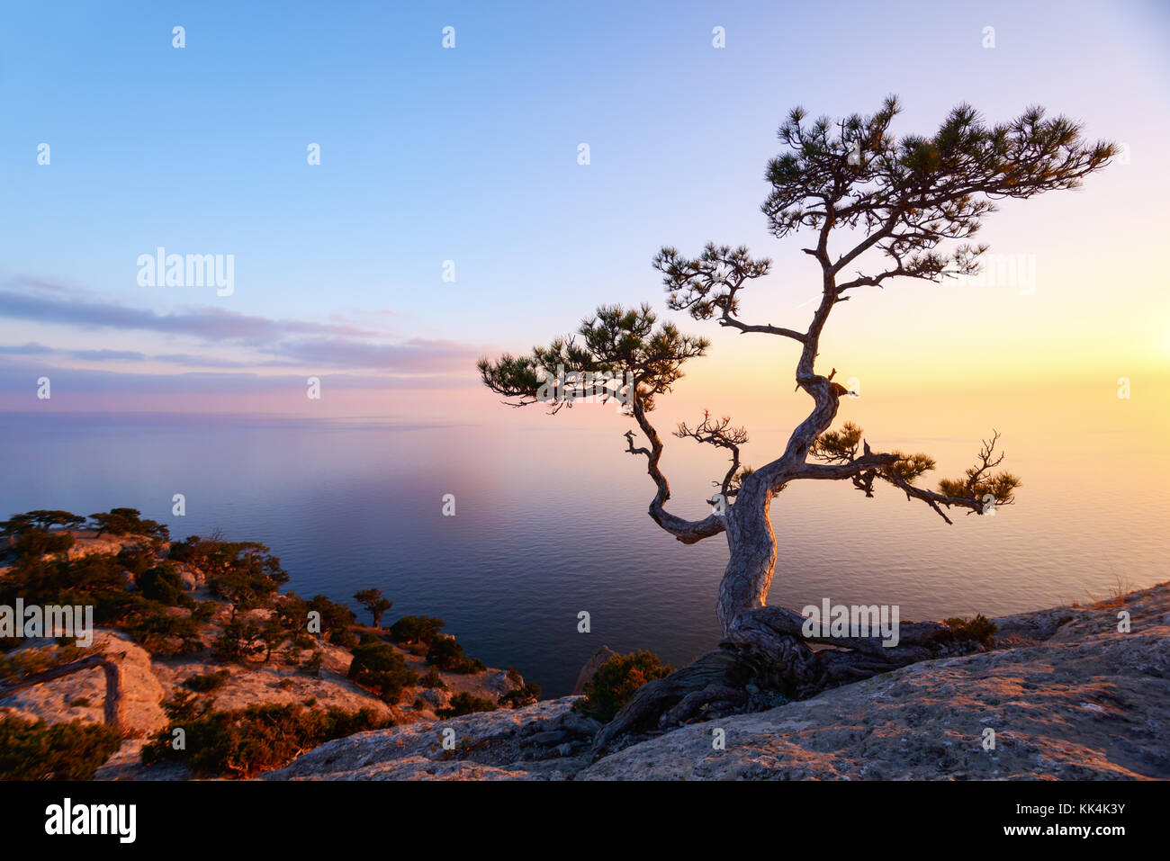 Allein Baum am Rand der Klippe Stockfoto