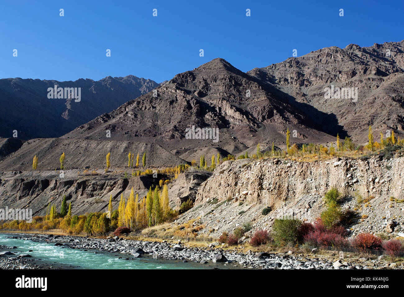 Indus River im Herbst, Ladakh, Jammu und Kaschmir, Indien. Stockfoto