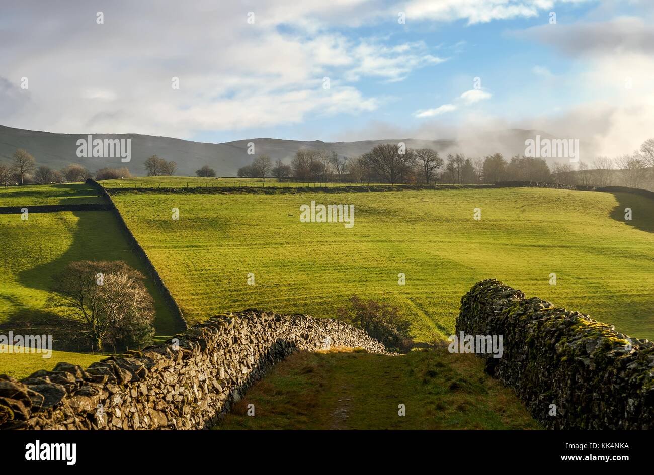 Pfad durch Trockenmauern, staveley Stockfoto