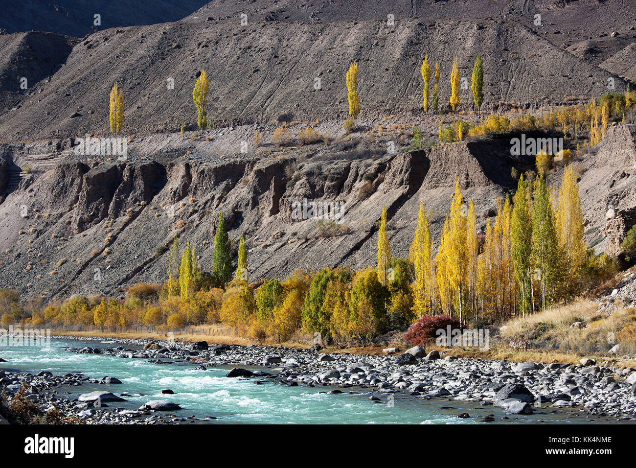 Indus River im Herbst, Ladakh, Jammu und Kaschmir, Indien. Stockfoto