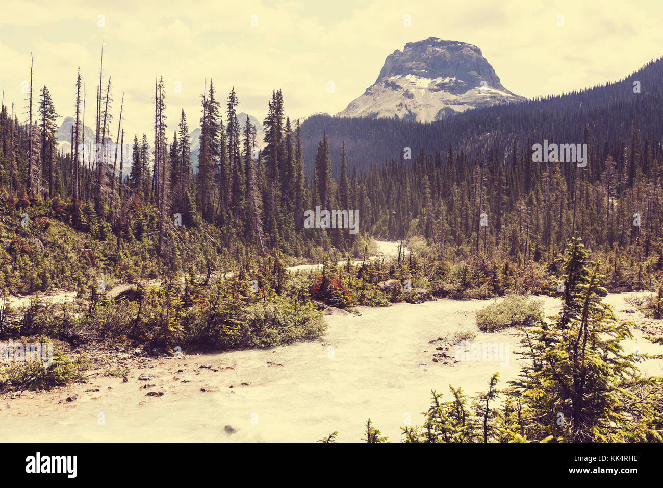 Athabasca River im Jasper Nationalpark Stockfoto