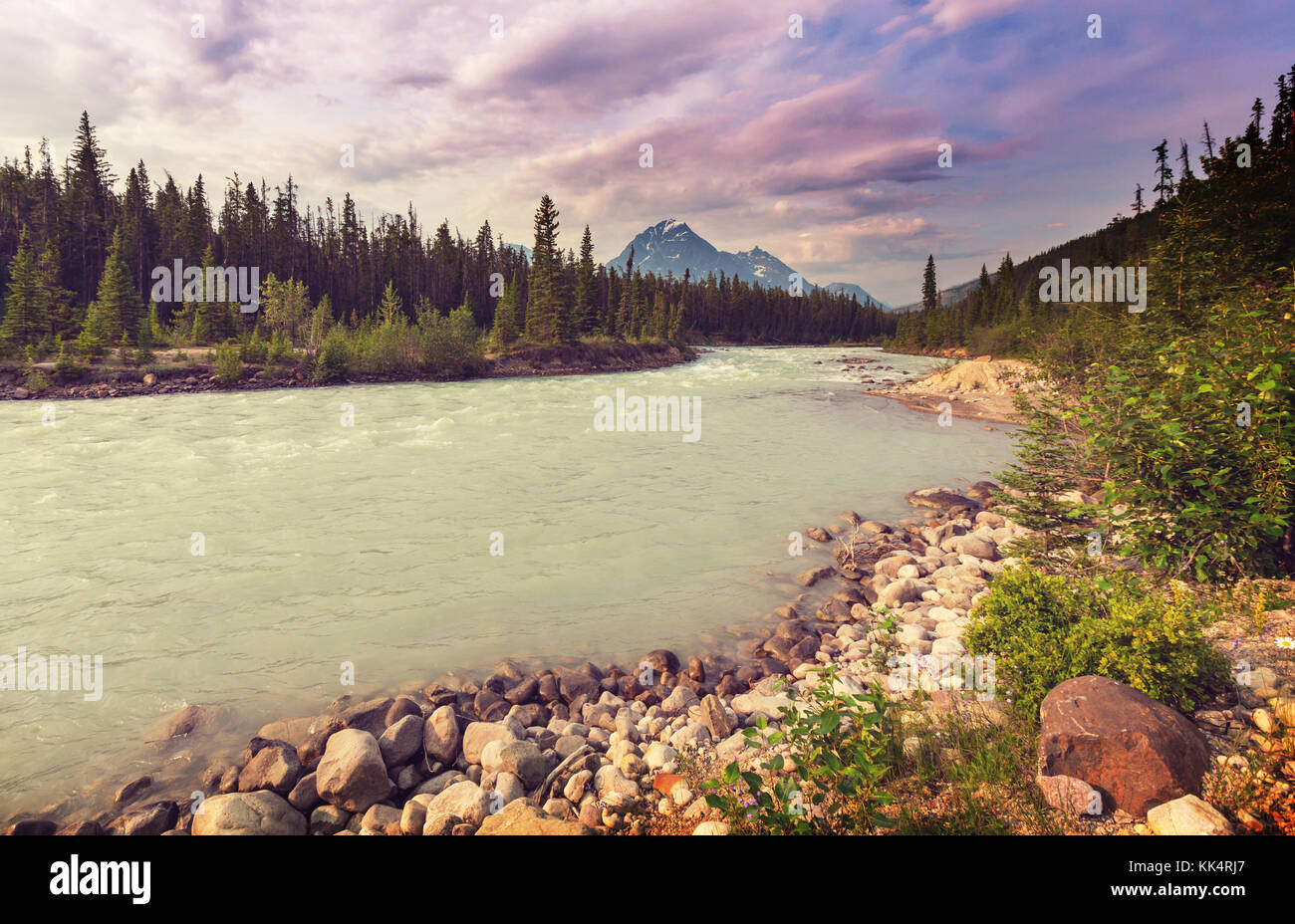 Athabasca River im Jasper Nationalpark Stockfoto