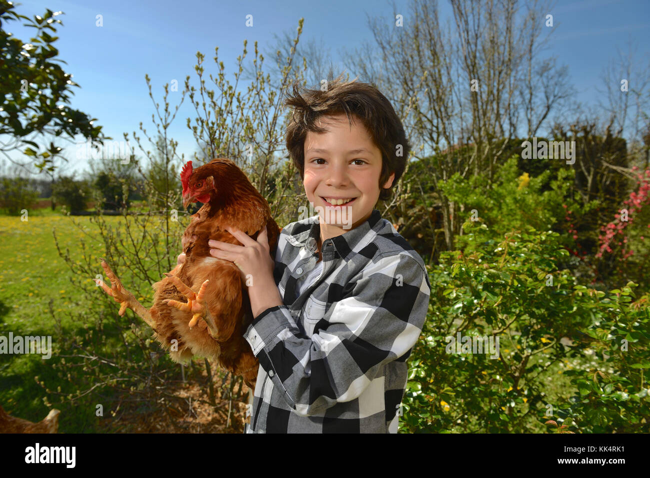 Kind mit seiner Henne. Veröffentlichung rechte OK Stockfoto