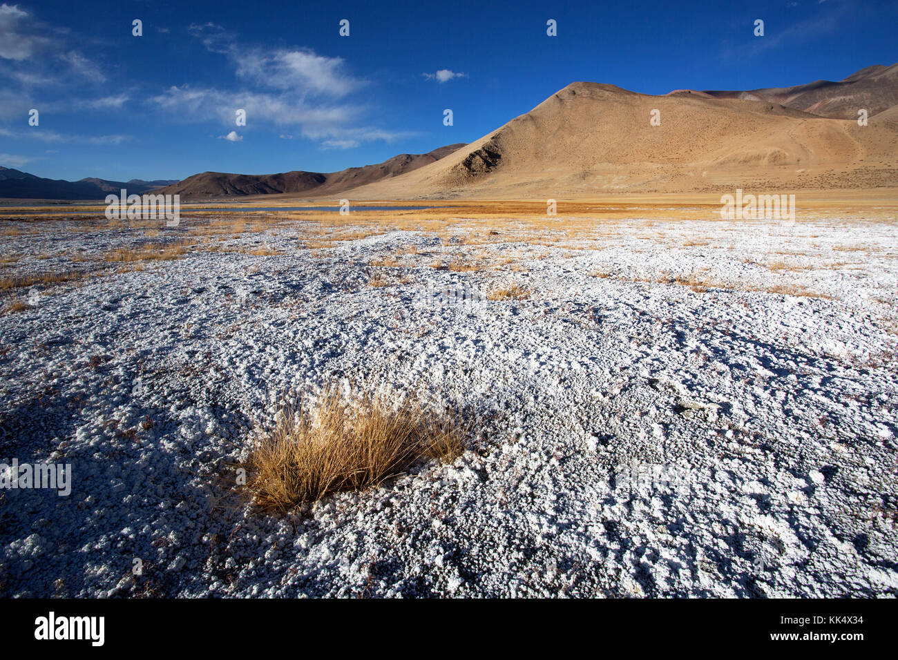 Karge Landschaft und Schichten von Salz auf einer klaren Herbsttag bei schwankender Salzsee Tso Kar, Ladakh, Indien Stockfoto