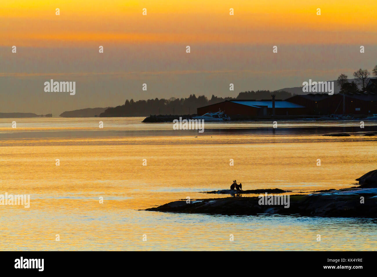 Bei Sonnenuntergang an einem kalten Winterabend, zwei kormorane entspannen Sie sich auf einem kleinen Inselchen. Im Januar in Fana fjord fotografiert, westlichem Norwegen. Stockfoto