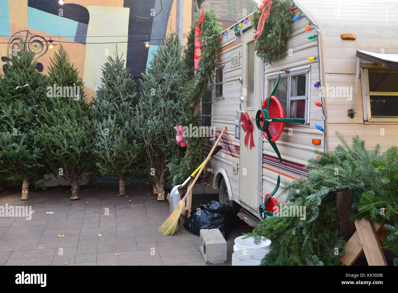 Der Lincoln Square kleinen Nachbarschaft Weihnachtsbaum viel hat die Bewohner auf der Nordseite von Chicago mit echten Bäumen für viele Jahre. Stockfoto