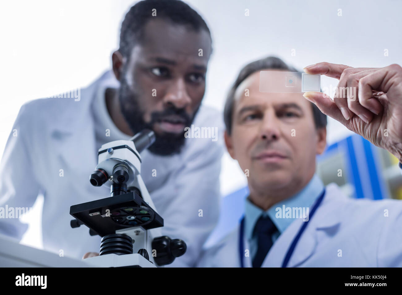 Selektiver Fokus der biologischen Ausstattung Stockfoto