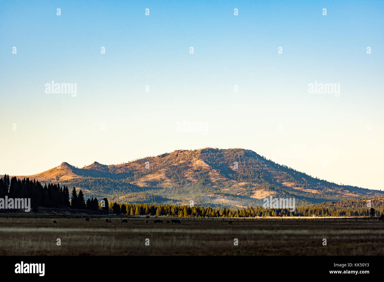 Blick auf die Berge von Sierra Valley, CA. Stockfoto