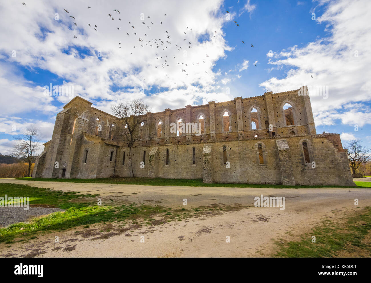 Abtei von San Galgano (Italien) - alt-katholischen Kloster in einem abgelegenen Tal der Provinz Siena, Toskana Region. Das Dach brach nach einem Blitzschlag Stockfoto