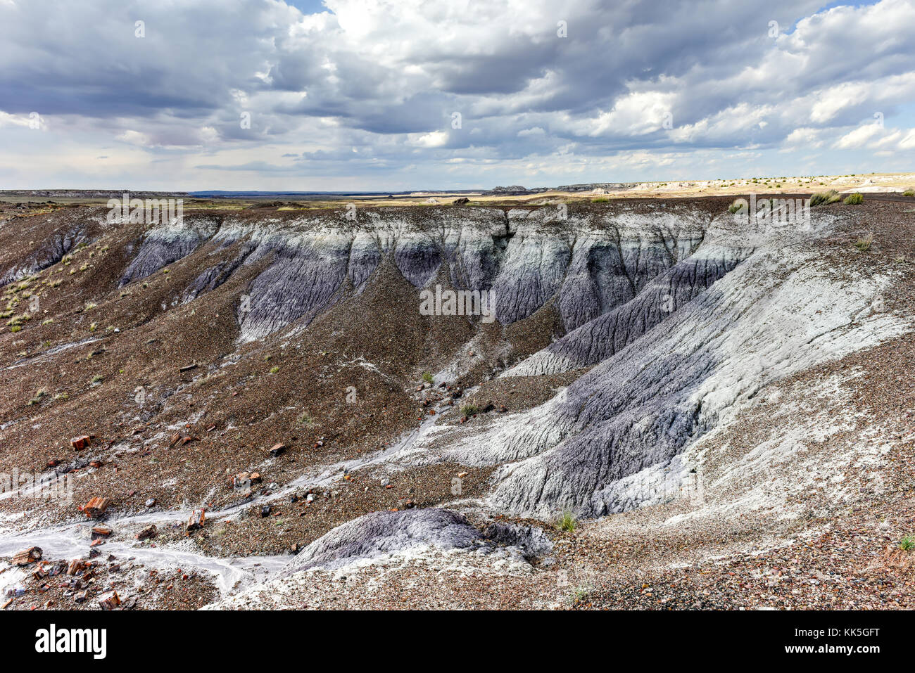 Die Crystal Forest in den Petrified Forest Nationalpark in Arizona. Stockfoto