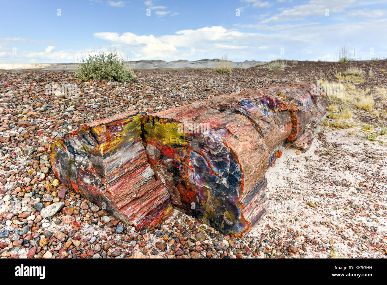 Die Crystal Forest in den Petrified Forest Nationalpark in Arizona. Stockfoto