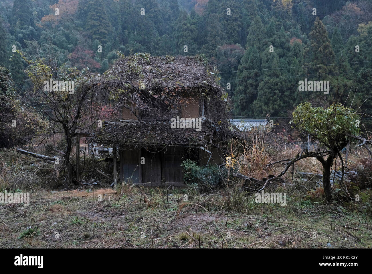 Verlassenes Haus in der Landschaft in Ayabe, Japan. Stockfoto