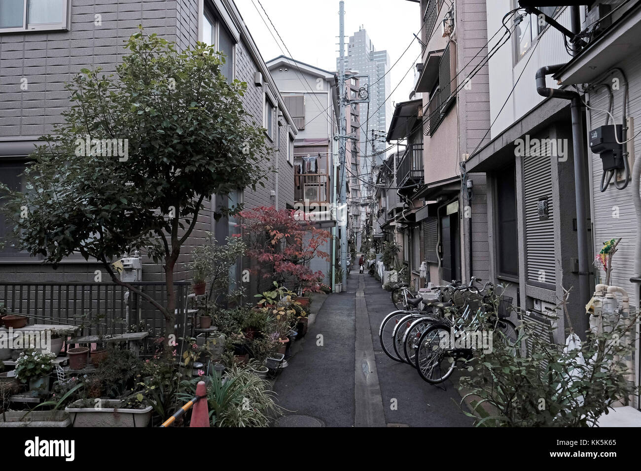 Eine schmale Straße in Tokyo im Business Viertel. Japan. Stockfoto