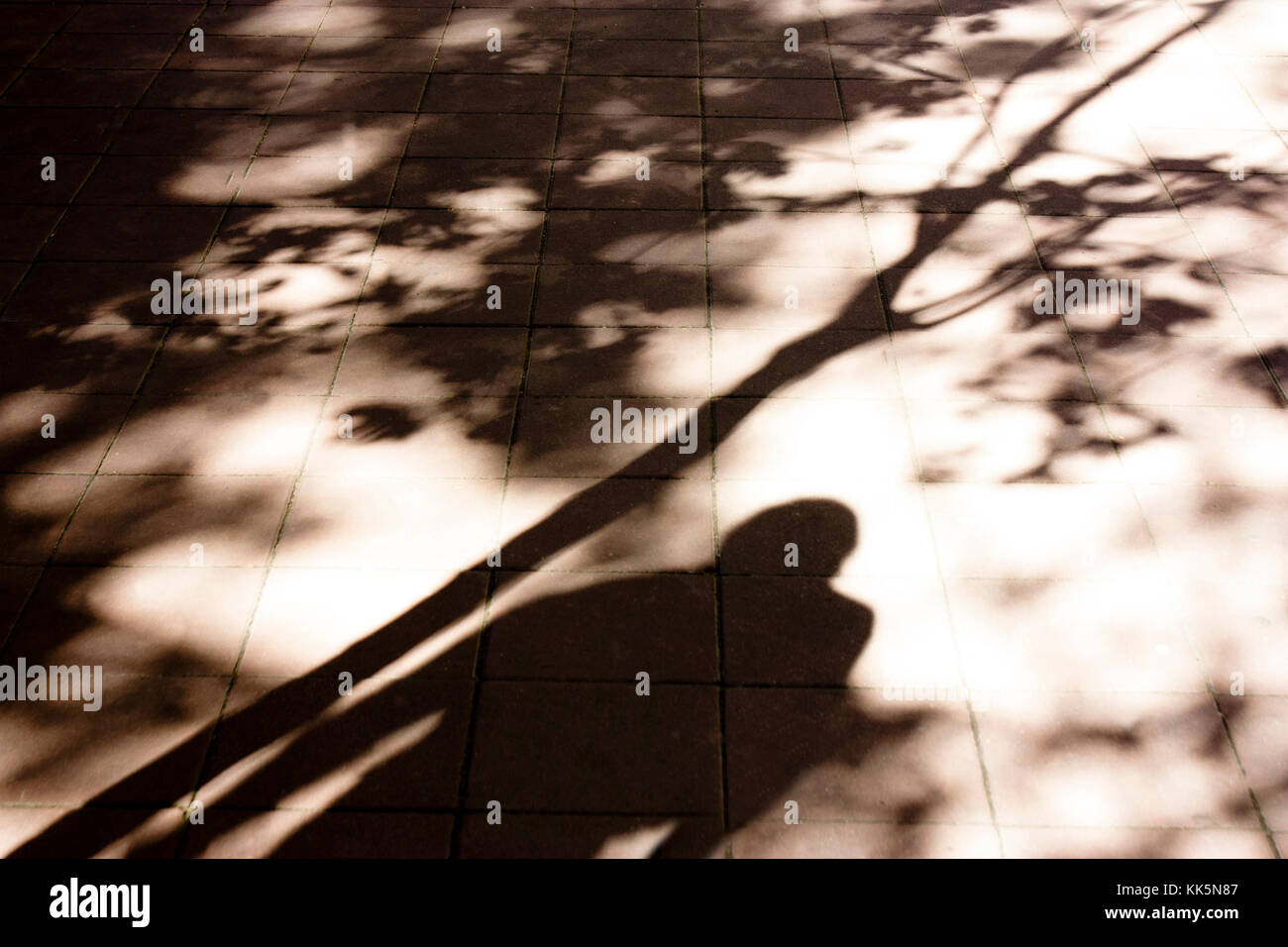 Verschwommene Schatten und Silhouetten von einer Person, die unter dem Baum in Schwarz und Weiß sepia Sonnenlicht auf Stadt Straße Bürgersteig Stockfoto
