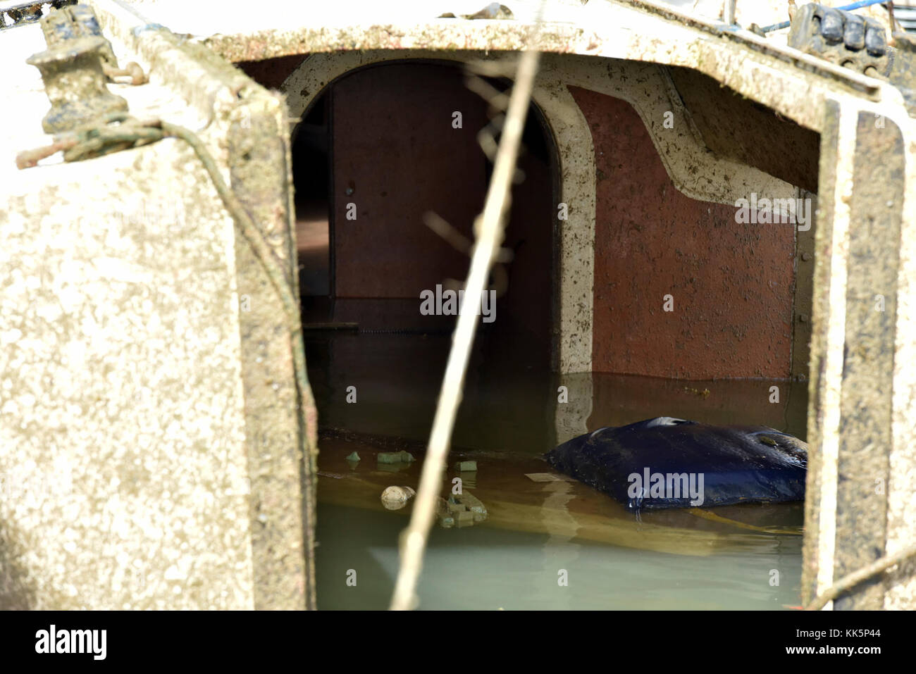 Schmutz schwebt in der Kabine der teilweise eingetaucht Segelschiff Juyilanga auf der Isleta Marina in Fajardo, Puerto Rico, die am 10. November 2017. Maria Emergency Support Funktion 10 Puerto Rico Unified Command Personal reagieren auf Schiffe, die beschädigt sind, Vertriebene, in Wasser getaucht oder versunkenen. U.S. Coast Guard Foto von Petty Officer 2. Klasse Ali Flockerzi. Stockfoto