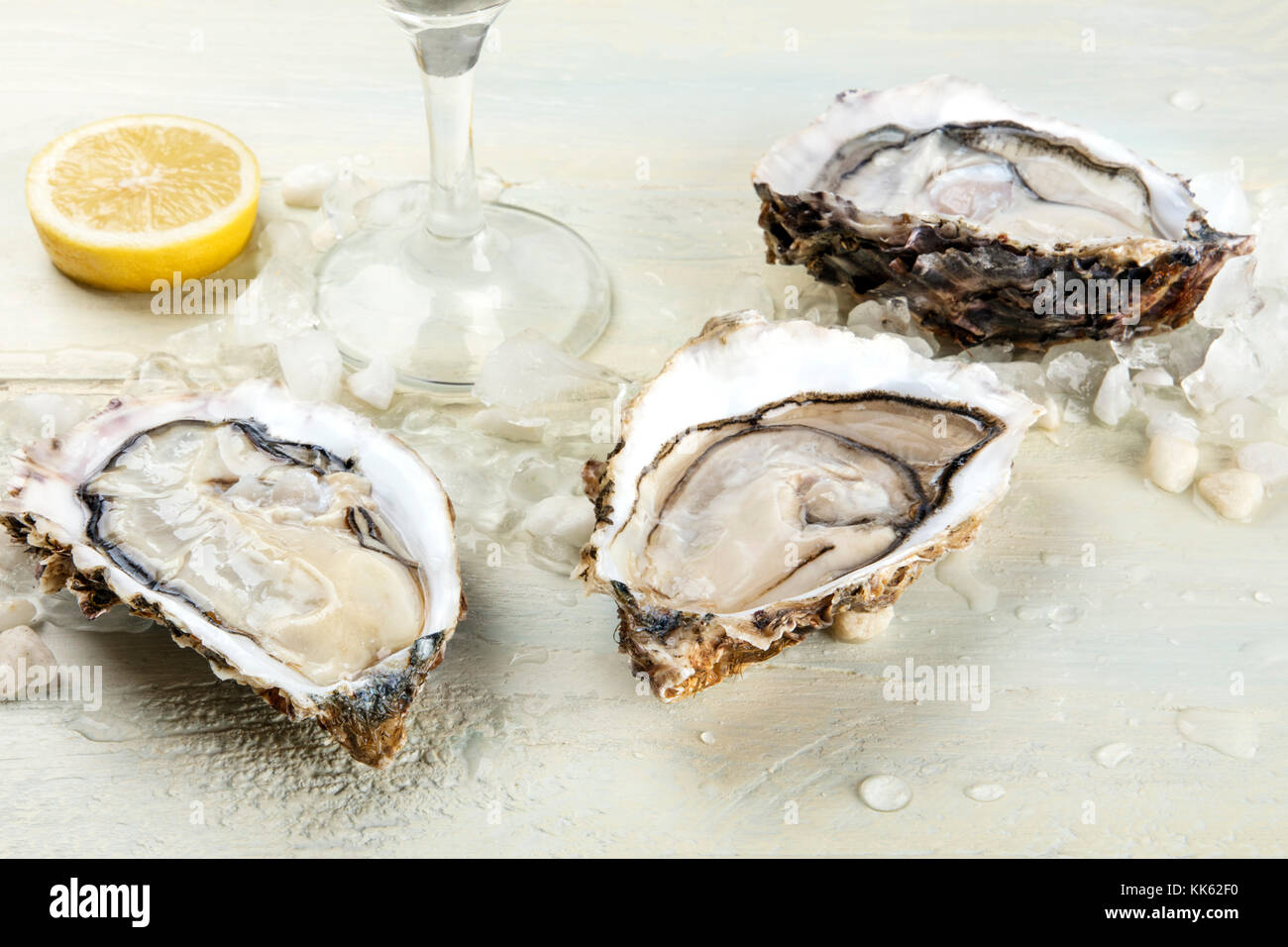 Austern Schalentiere Stockfotos und bilder Kaufen Alamy