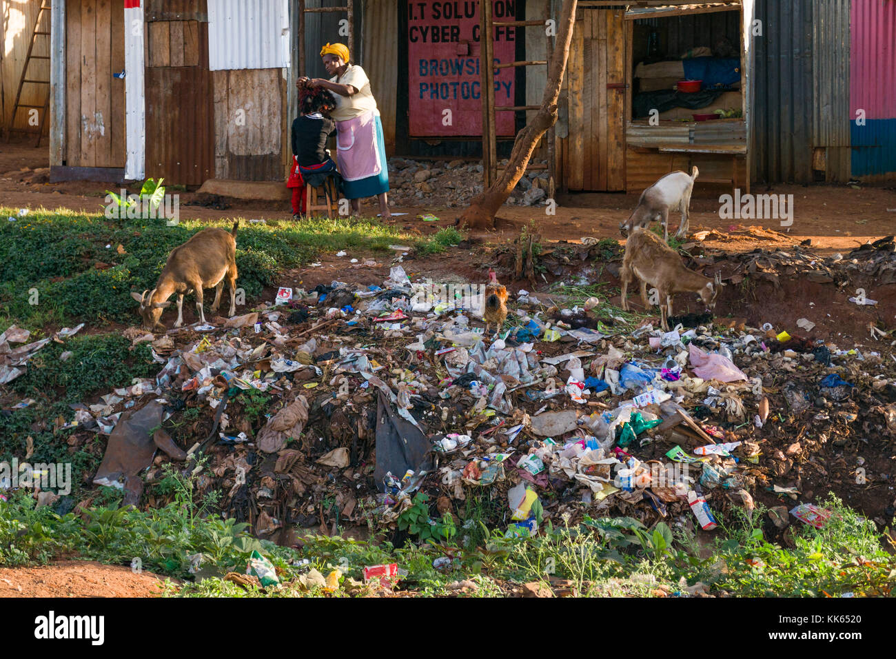 Eine Frau Friseur gibt eine sitzende Frau einen Haarschnitt außerhalb mit einem Haufen Müll und Tiere im Vordergrund, Slum, Githogoro Kenia Stockfoto