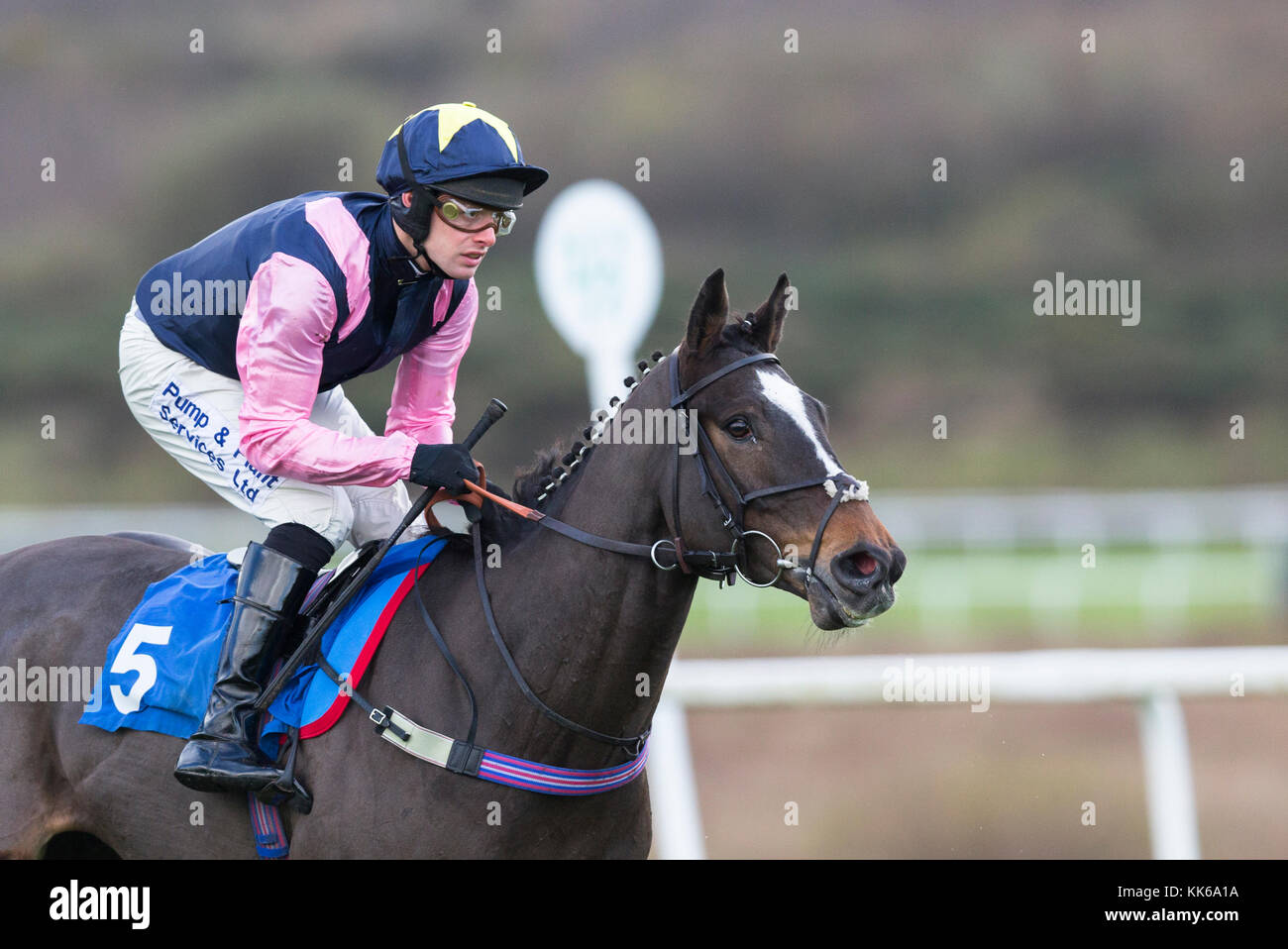 Rennpferd Amboss geritten von Jockey David Bass Stockfoto