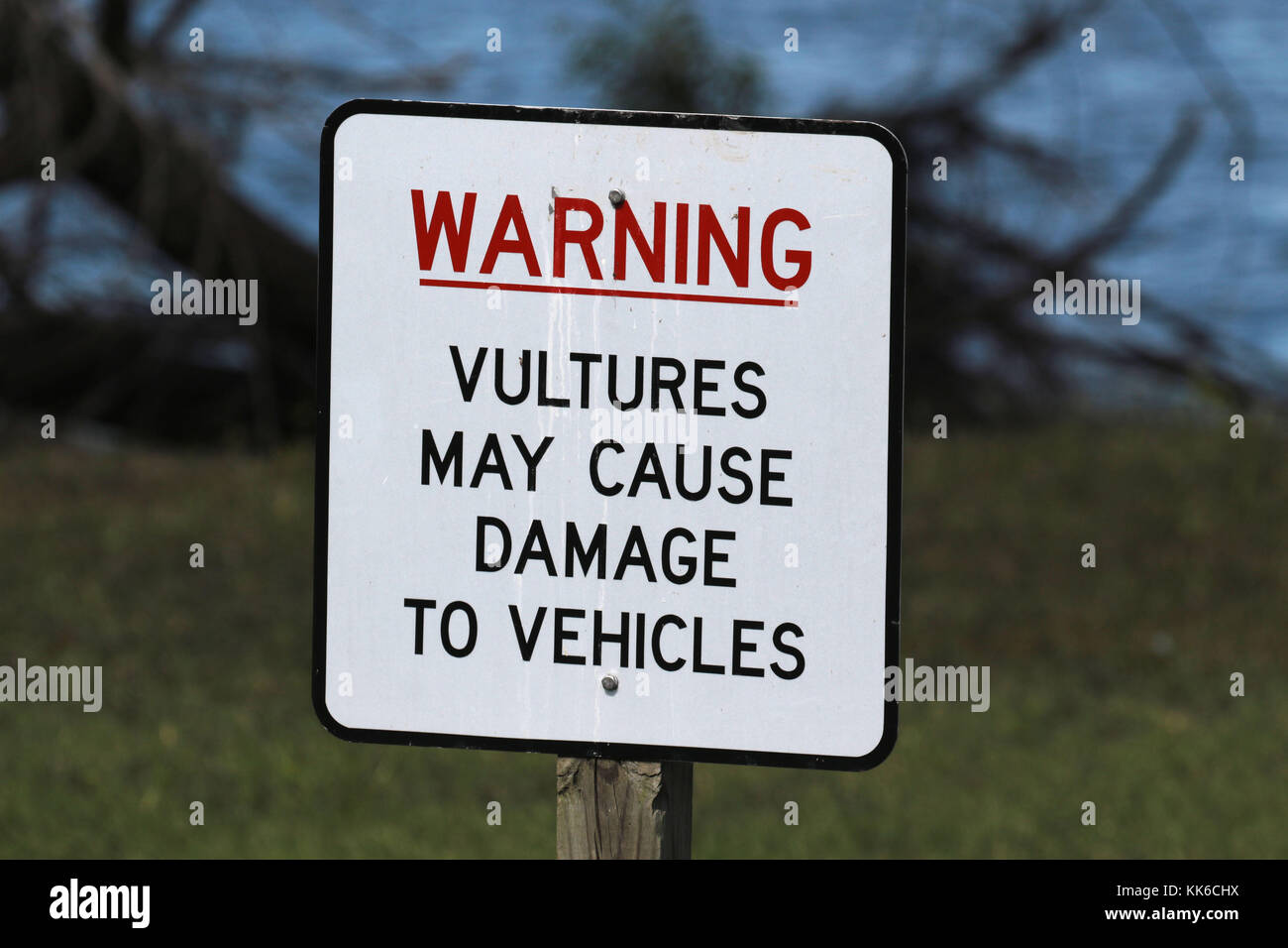 Warnschild am Myakka River State Park, Warnung Geier gefunden kann zu Schäden an Fahrzeugen verursachen Stockfoto