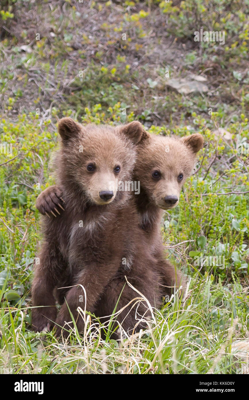 Baby Bar Stockfotos Und Bilder Kaufen Alamy