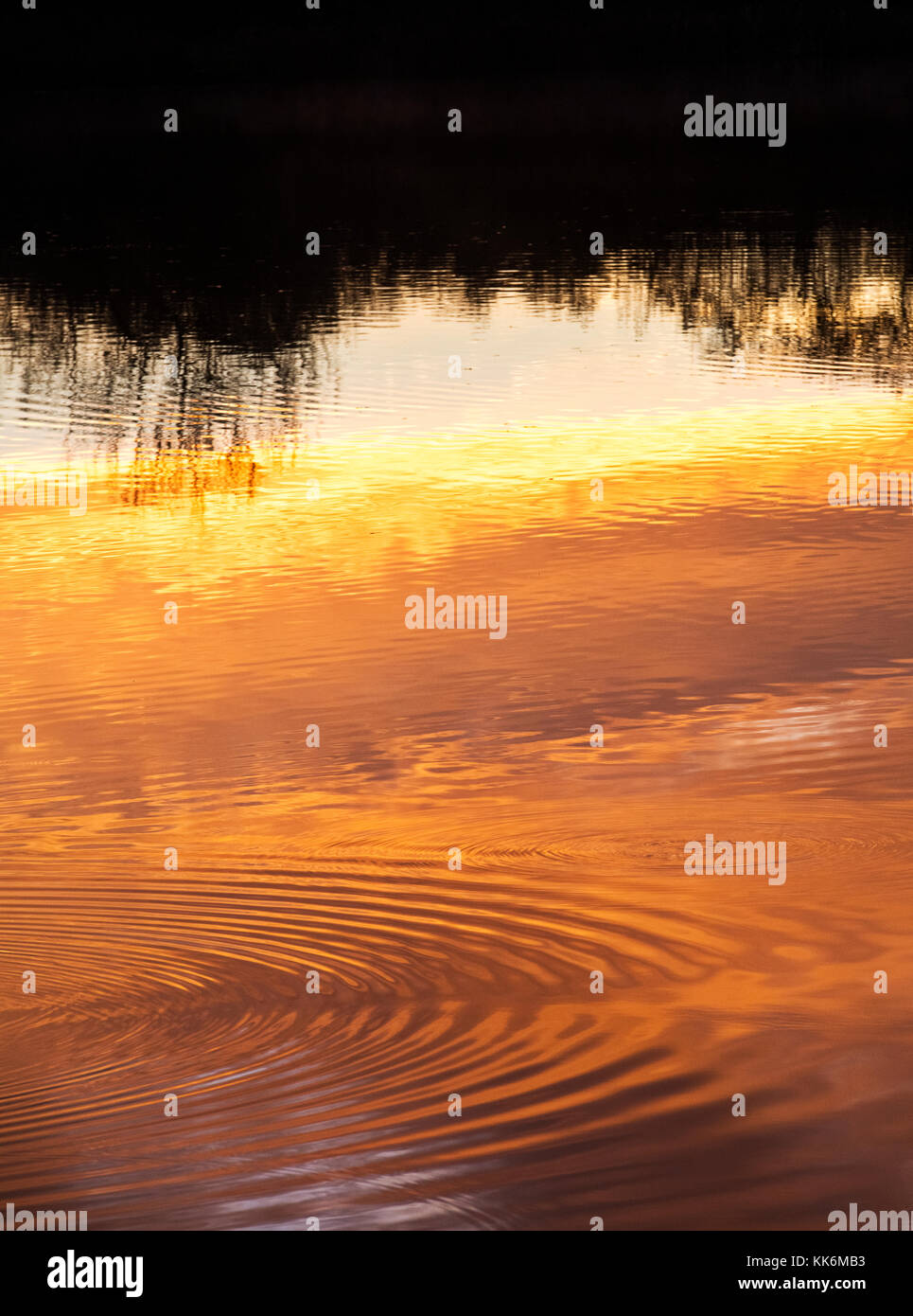 Sonnenaufgang und Wasser Welligkeit Reflexionen auf einem See in der Ortschaft Bourton auf dem Wasser. Cotswolds, Gloucestershire, England Stockfoto
