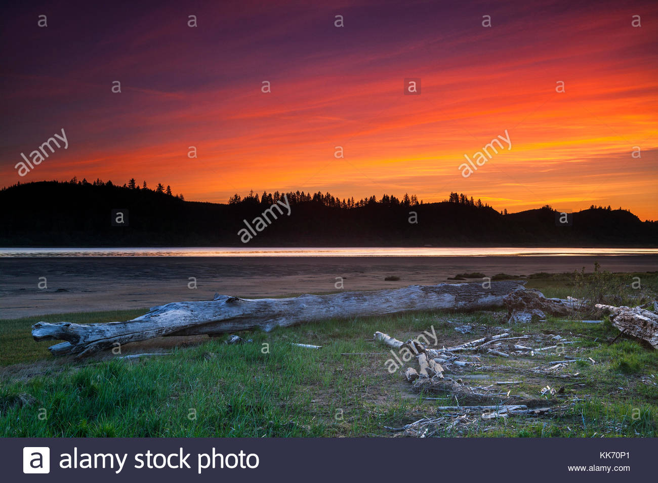 Mudflats Stockfotos & Mudflats Bilder Alamy Rechnung Bowerman Stockfotos & Rechnung Bowerman Bilder Alamy