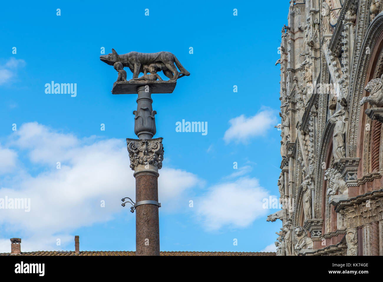 Wolf und Kinder Statue in Siena, Italien Stockfoto