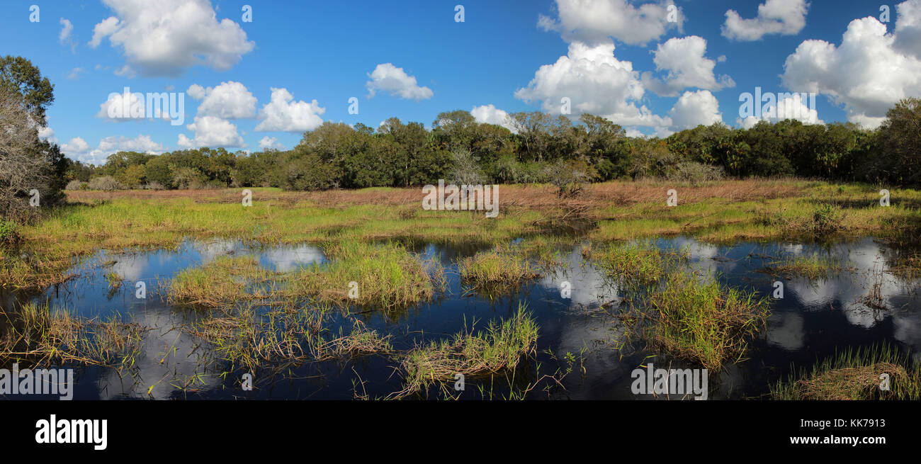 Panoramablick auf die Landschaft einer Florida Feuchtgebiete mit Wasser Reflexionen der Wolken am Myakka River State Park genommen Stockfoto