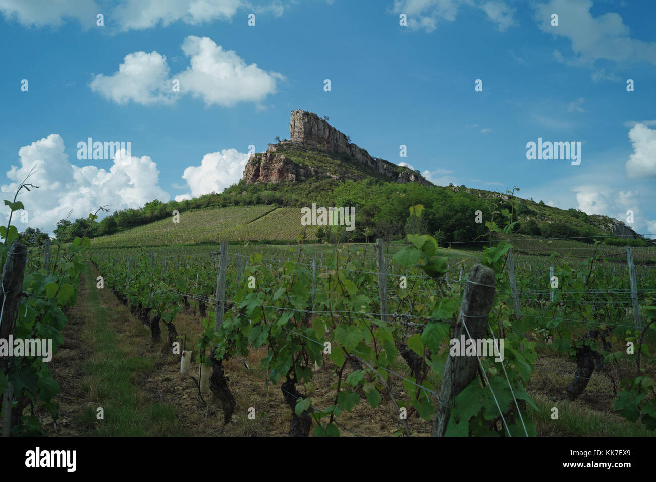 ROCHE DE SOLUTRE - Frankreich Burgund - LA ROCHE DE SOLUTRE EN REGION BOURGOGNE - CHEMIN Francois Mitterand - WEINBERGE POUILLY © Frédéric BEAUMONT Stockfoto