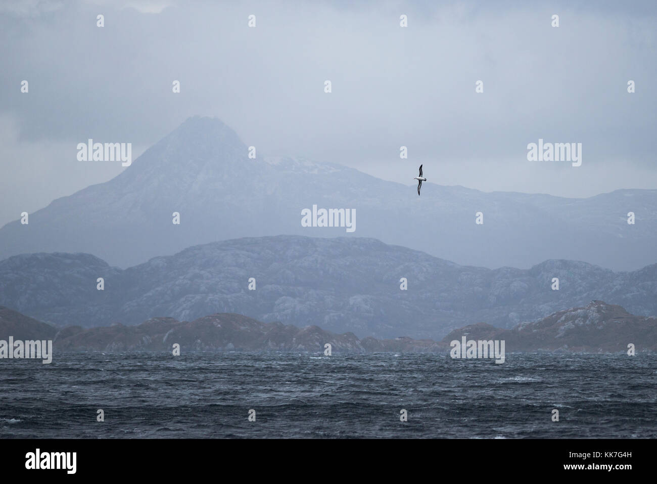 Landschaft im südlichen chilenischen Fjorde mit Albatros fliegen Stockfoto