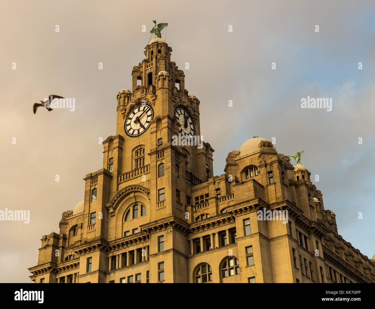 Royal Liver Building, Liverpool, England, UK Stockfoto