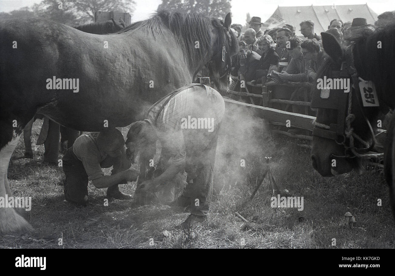 1950, historische, zwei Hufschmiede gemeinsam ein großes Shire horse shoe bei einem landwirtschaftlichen county Show, mit interessierten Zuschauern auf, England, UK. Stockfoto