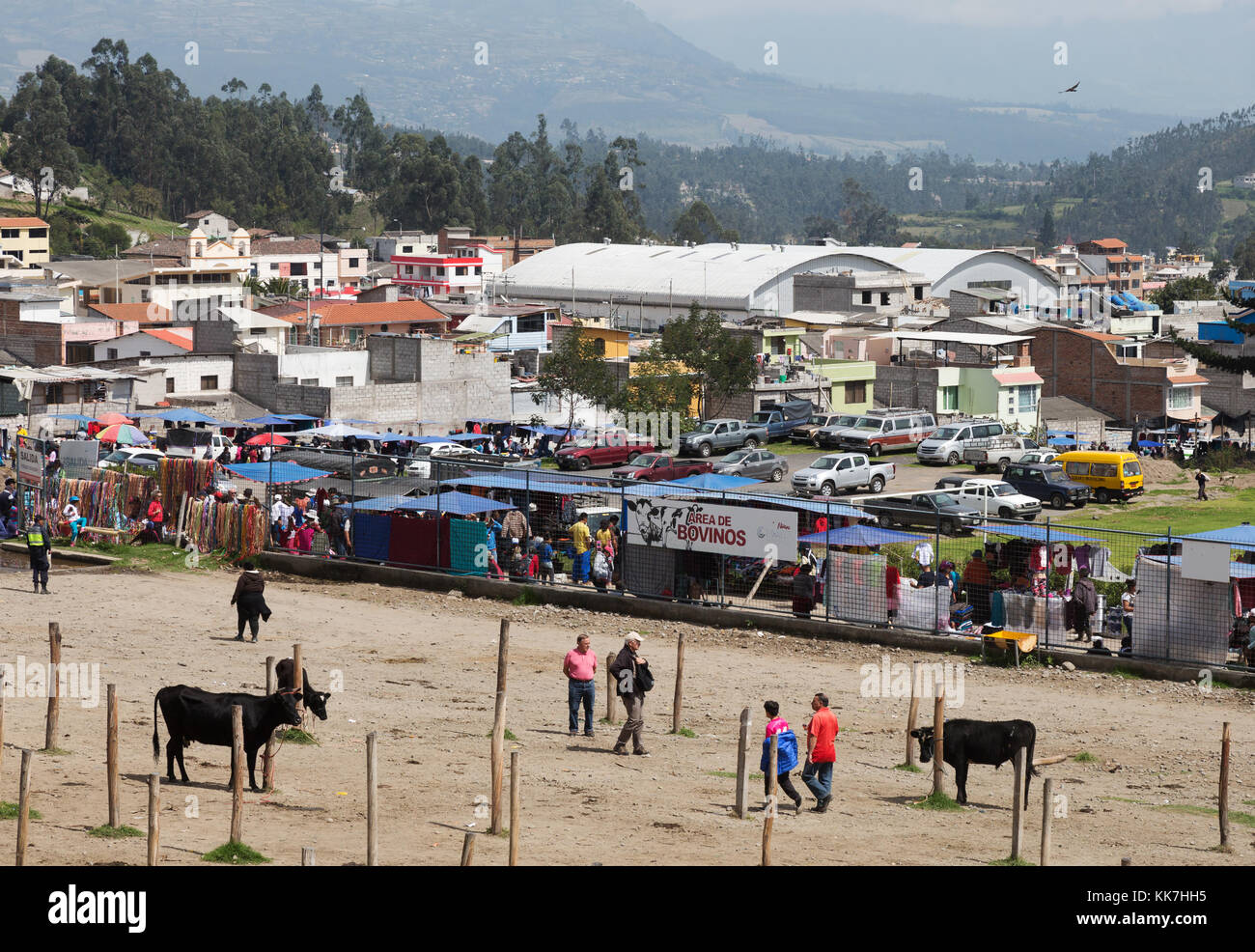 Otavalo Tiermarkt, Otavalo, Ecuador, Südamerika Stockfoto
